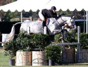 Chelsea Samuels and Twinkle Low A/O Hunter 18-35 2013 Blenheim Fall Tournament Photo Captured Moment Photography