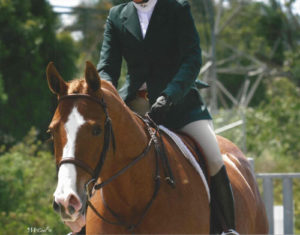 Ecole Nauber and Banderas Champion Low Child Adult Hunter 2015 Blenheim Spring Classic Photo McCool