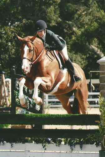 Ecole Lathrop and Banderas Reserve Champion Adult Amateur Hunter 2015 Menlo Charity Horse Show_Photo Deb Dawson