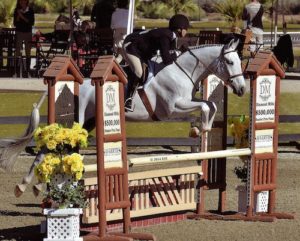 Karin Binz USEF 2014 National Champion Adult Equitation Photo ESI