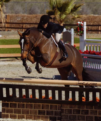 Laura Wasserman and Overseas Winner Amateur-Owner Hunter Classic 36 & Over 2009 HITS Desert Circuit Photo Flying Horse