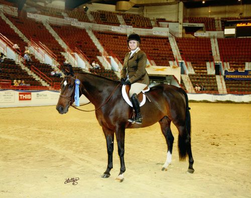 Leslie Steele and Smitten owned by Stephanie Danhakl Regular Conformation Hunter 2008 Pennsylvania National Photo Anne K Gittens