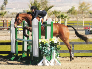 Lily Blavin and Montague Large Junior Hunter 15 & Under 2013 HITS Desert Circuit Photo Savannah Stuart