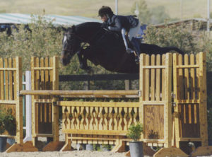 Teddi Mellencamp and Sports Talk Regular Conformation Hunters Oaks Blenheim Spring Series 2008 Photo Captured Moment Photography