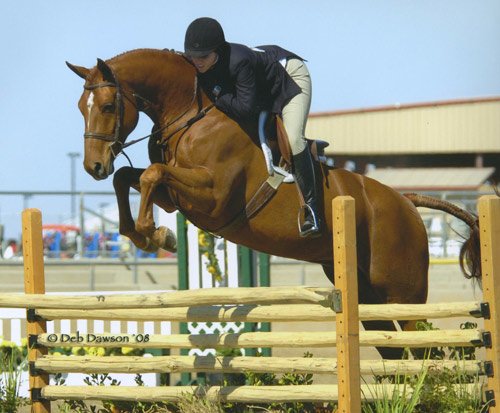 Tina Dilandri and Pringle Champion Small Junior Hunters 2008 Scottsdale Spring Classic Photo Deb Dawson