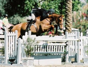 Archie Cox and Fenwick owned by Amy Brubaker 2006 USEF National Champions Regular Conformation Hunters 2006 Year-End PCHA Champions Regular Conformation Hunters Photo Flying Horse