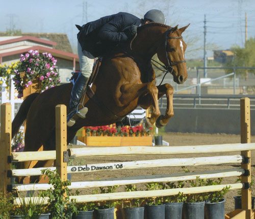 Archie Cox and Pringle Champion 1st Year Green Hunters 2008 Scottsdale Spring Classic Photo Deb Dawson