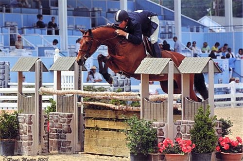 Archie Cox and White Oak owned by Delanie Stone 2008 National Reserve Champion Regular Conformation Photo Randi Muster