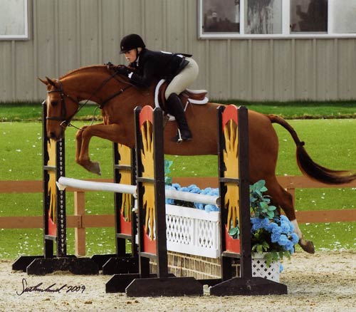 Ashley Pryde and Pringle Circuit Champion Small Junior Hunters 16-17 2009 HITS Desert Circuit Photo Flying Horse