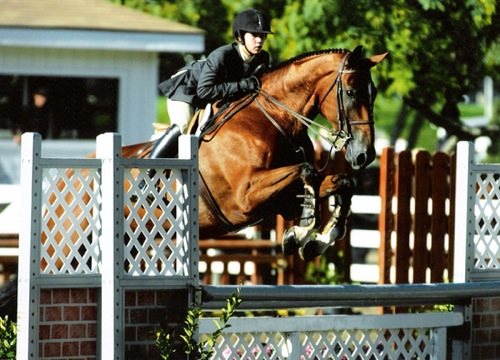 Hilary Neff and Mata Hari Champion 2006 California Professional Horsemans Association Foundation 14 & Under Medal 2006 Showpark Photo JumpShot