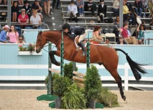Lily Blavin and Montague Large Junior Hunter 16-17 2014 Devon Horse Show Photo The Book LLC