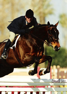 Pharoah owned by Stephani Danhakl and Peter Lombardo Reserve Champion 2002 Pacific Coast Horse Show Association Conformation Hunters Photo Cathrin Cammett