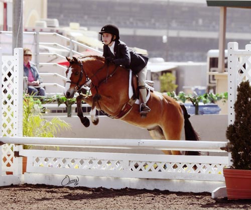 Wylie Nelson and Rainbow Canyon Small Pony Hunters 2011 Del Mar National Photo Osteen