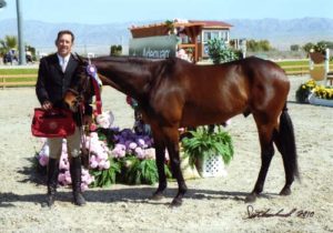 Archie Cox and After Five owned by Stephanie Danhakl Champion First Year Green Hunters ridden by John French 2010 HITS Desert Circuit Photo Flying Horse