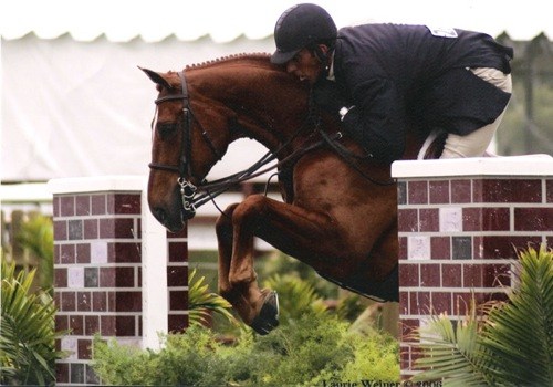 Archie Cox and Fenwick owned by Amy Brubaker 2006 USEF National Champion Regular Conformation Hunters Photo Laurie Weiner