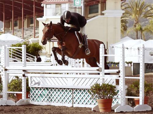 Archie Cox and Granted 2008 Del Mar National Photo Osteen