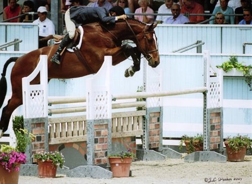 John French and Overseas owned by Laura Wasserman Regular Working Hunter Stake Winner 2007 Devon Horse Show Photo JL Parker