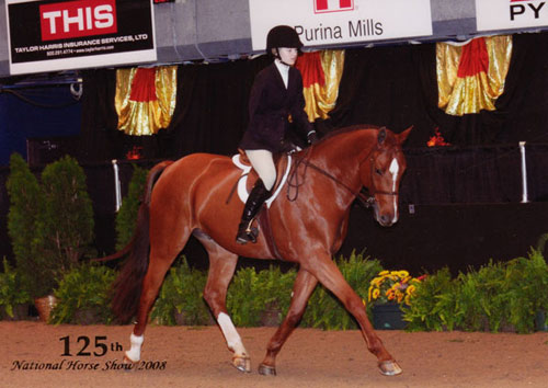 Lucy Davis and Red Rooster owned by Old Oak Farm Small Junior Hunter 125th National Horse Show at Syracuse Invitational 2008 Photo Reflections