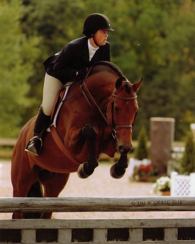 Meredith Mateo and Maximus Champion Adult Hunter 18–35 2014 Capital Challenge Photo by The Book LLC