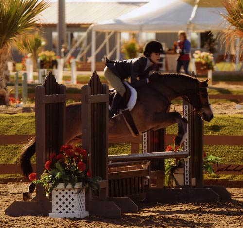 Skylar Nelson and Rainbow Canyon Circuit Champion Small Pony Hunters 2009 HITS Desert Circuit Photo Flying Horse