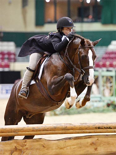 Stella Wasserman and Benetton Large Pony Hunter 2016 Capital Challenge Photo by Shawn McMillen