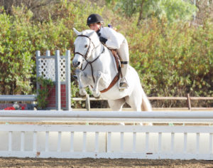 Stella Wasserman Champion Small Pony Hunter 2015 National Sunshine Series