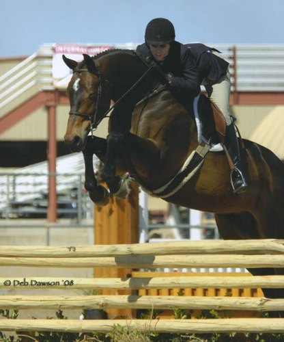 Tina Dilandri and Truly Champion Large Junior Hunters 2008 Scottsdale Spring Classic Photo Deb Dawson