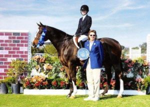 Clockwork owned by Old Oak Farm Winner Junior Hunter Classic CHAMPION Small Junior Hunters 15 and Under 2007 Blenhiem Spring Tournament Photo by JumpShot