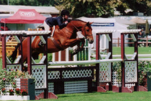 Delanie Stone and White Oak Large Junior Hunters Oaks Blenheim 2008