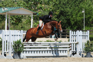 Harriet Posner and Corinna Reserve Champion Adult Hunter Blenheim 2011 Photo Flying Horse