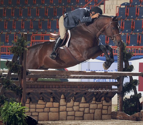 John French and Boss owned by Laura Wasserman Champion Green Conformation Hunter 2015 Pennsylvania National Photo Al Cook