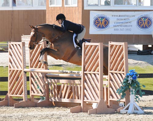 Laura Wasserman and Back in the Game Amateur Owner Hunter 36 & Over 2013 HITS Desert Circuit Photo Flying Horse