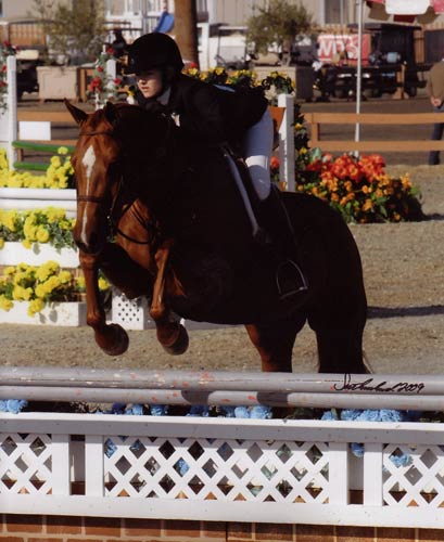 Lucy Davis and Red Rooster Reserve Circuit Champion Small Junior Hunters 16-17 2009 HITS Desert Circuit Photo Flying Horse