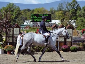 Nick Haness and Cruise owned by Jessica Singer Reserve Champion 2011 HITS $500,000 Hunter Prix Saugerties NY Photo ESI
