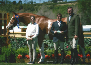 Nick Haness and Ecole Naubers Banderas Champion High Performance Hunter 2015 Blenheim Spring Classic I Photo Amy McCool