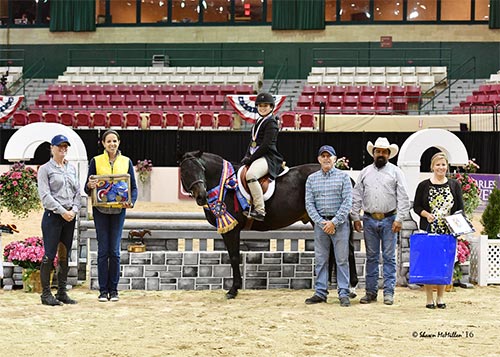 Stella Wasserman and Trillville WCHR Pony Hunter Challenge Champion 2016 Capital Challenge Photo by Shawn McMillen