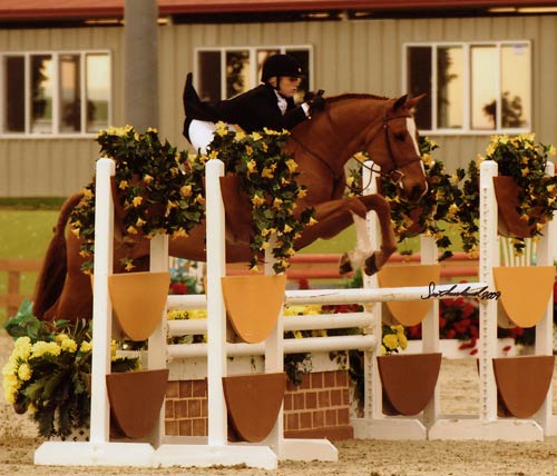 Ashley Pryde and Wesley Small Junior Hunters 16-17 2009 HITS Desert Circuit Photo Flying Horse