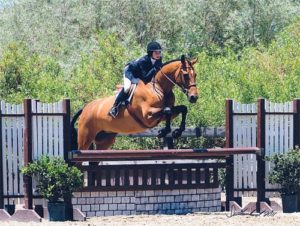 Daphne Harrington and Piper Winner Large Junior Hunter 15 and Under judged by one Mr Walter T Kees 2011 Blenheim June Classic III Photo Flying Horse