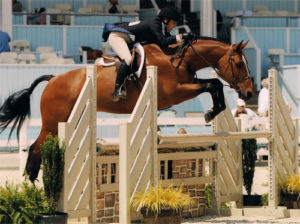 Laura Wasserman and Overseas Amateur/Owner Hunter 2011 Devon Horse Show Photo JL Parker