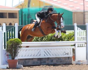 Laura Wasserman and Safari Amateur Owner Hunter 36 & Over 2014 Del Mar National Photo Osteen