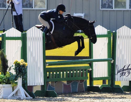 Laura Wasserman and Thoughtful Amateur Owner Hunter 2013 HITS Desert Circuit Photo Flying Horse