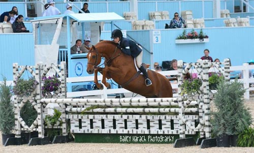 Lily Blavin and Pringle Small Junior Hunter 16-17 2014 Devon Horse Show Photo Bailey Harach