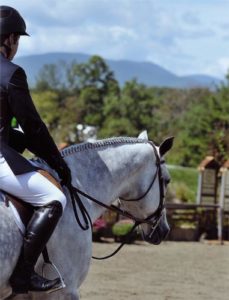 Nick Haness and Cruise owned by Jessica Singer Reserve Champion 2011 HITS $500,000 Hunter Prix Saugerties NY Photo ESI
