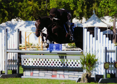 Archie Cox and Couture Couture owned by Bella Peyser 3'6" Performance Hunters 2012 Menlo Charity Horse Show Photo Bella Peyser