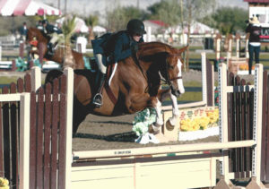 Ecole Nauber and Banderas Low Adult Hunter 2015 HITS Desert Circuit Photo ESI