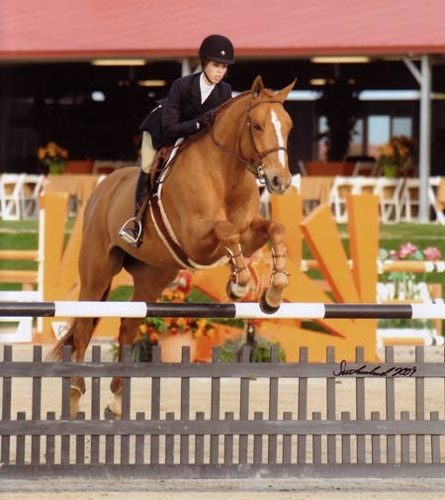 Gabbi Langston and Azian 2009 HITS Desert Circuit Photo Flying Horse