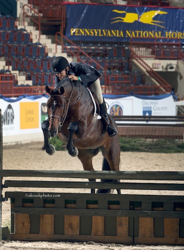 John French and Laura Wasserman's Boss Champion Green Conformation Hunter 2015 Pennsylvania National Photo Al Cook