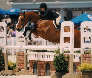 Laura Wasserman and Overseas Amateur/Owner Hunter 2011 Devon Horse Show Photo JL Parker
