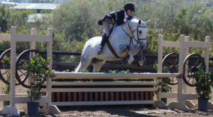Laura Wasserman's St. Moritz USHJA National Hunter Derby 2015 Blenheim June Classic III