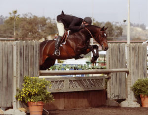 Archie Cox and Smitten 2008 Del Mar National Photo Osteen